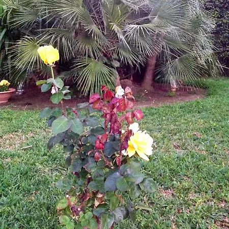 Сasa de vacaciones Casa vacanze *