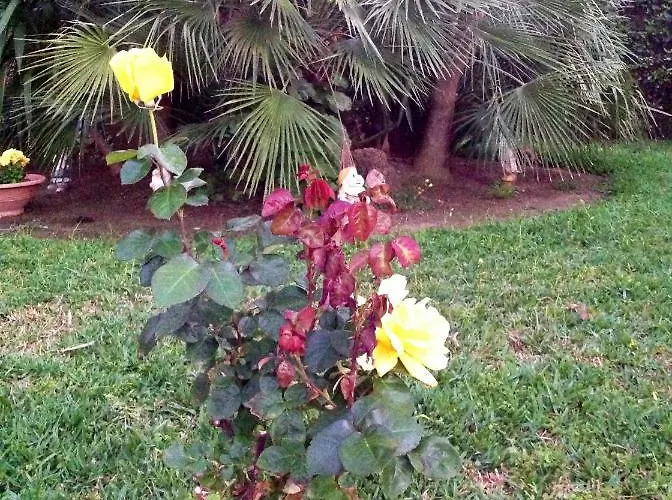 Сasa de vacaciones Villino Gio *